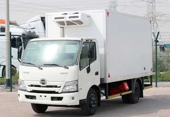 Hino 300 Freezer Van 4.0L 2023 MT White Diesel